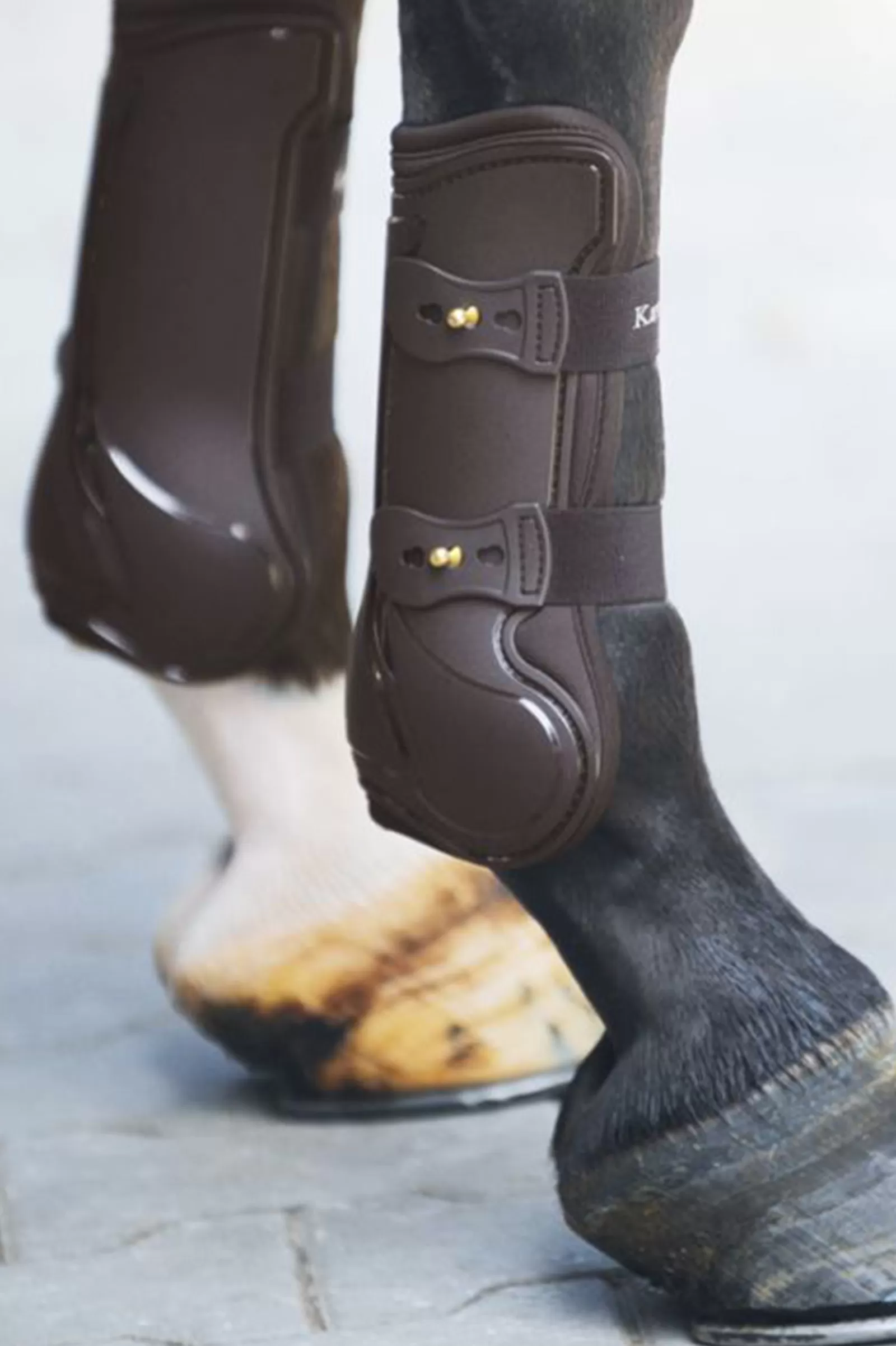 Cheap Protege-Tendons Kavalcade Compete Protections Cheval