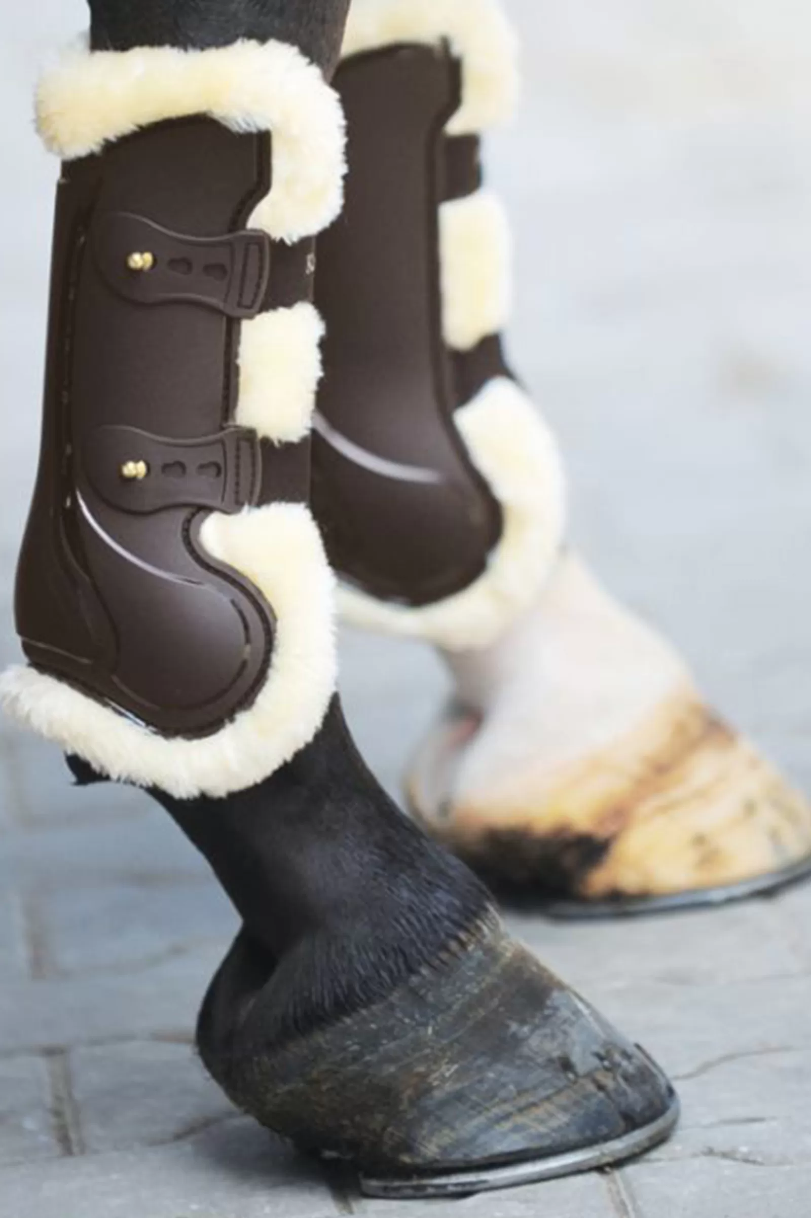 Clearance Protege-Tendons Compete 0039;Laine Protections Cheval