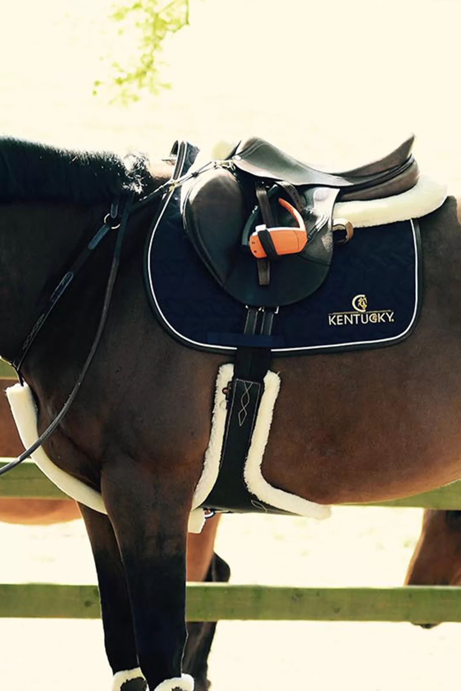 Best Sangle Bavette Mouton Horsewear Sangles De Cheval