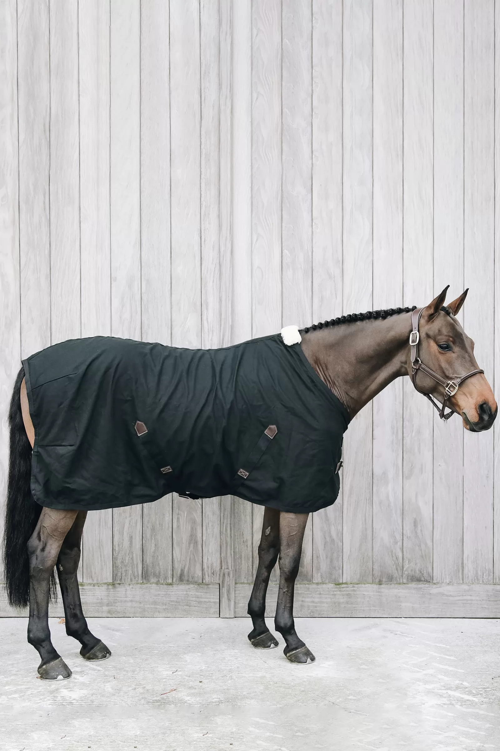 Fashion Sechante En Coton Horsewear Couverture Polaire & Sechante