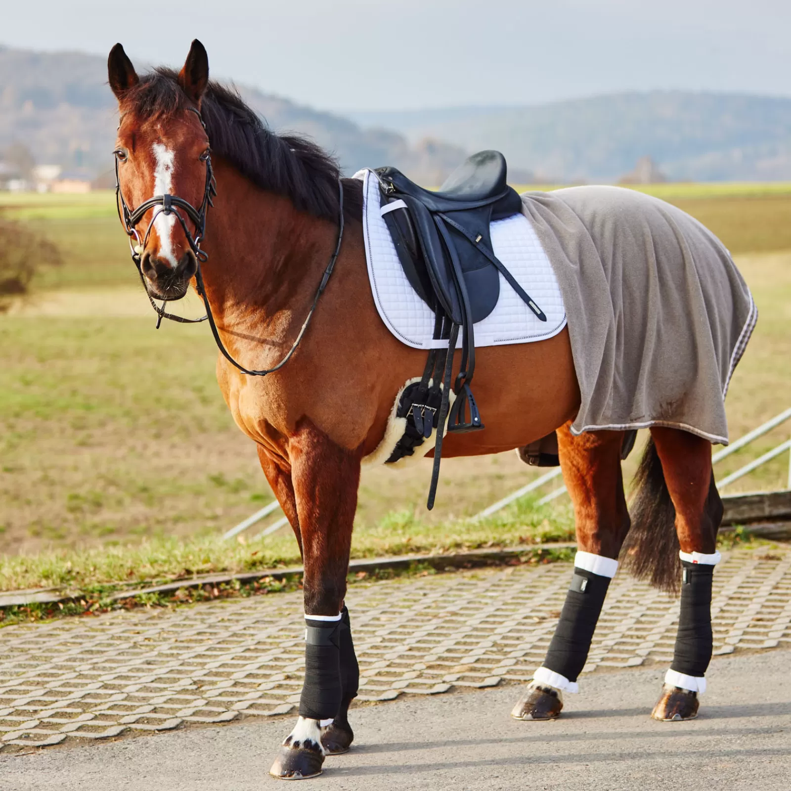 Flash Sale Sous-Bandages , Posterieurs Sous Bandage