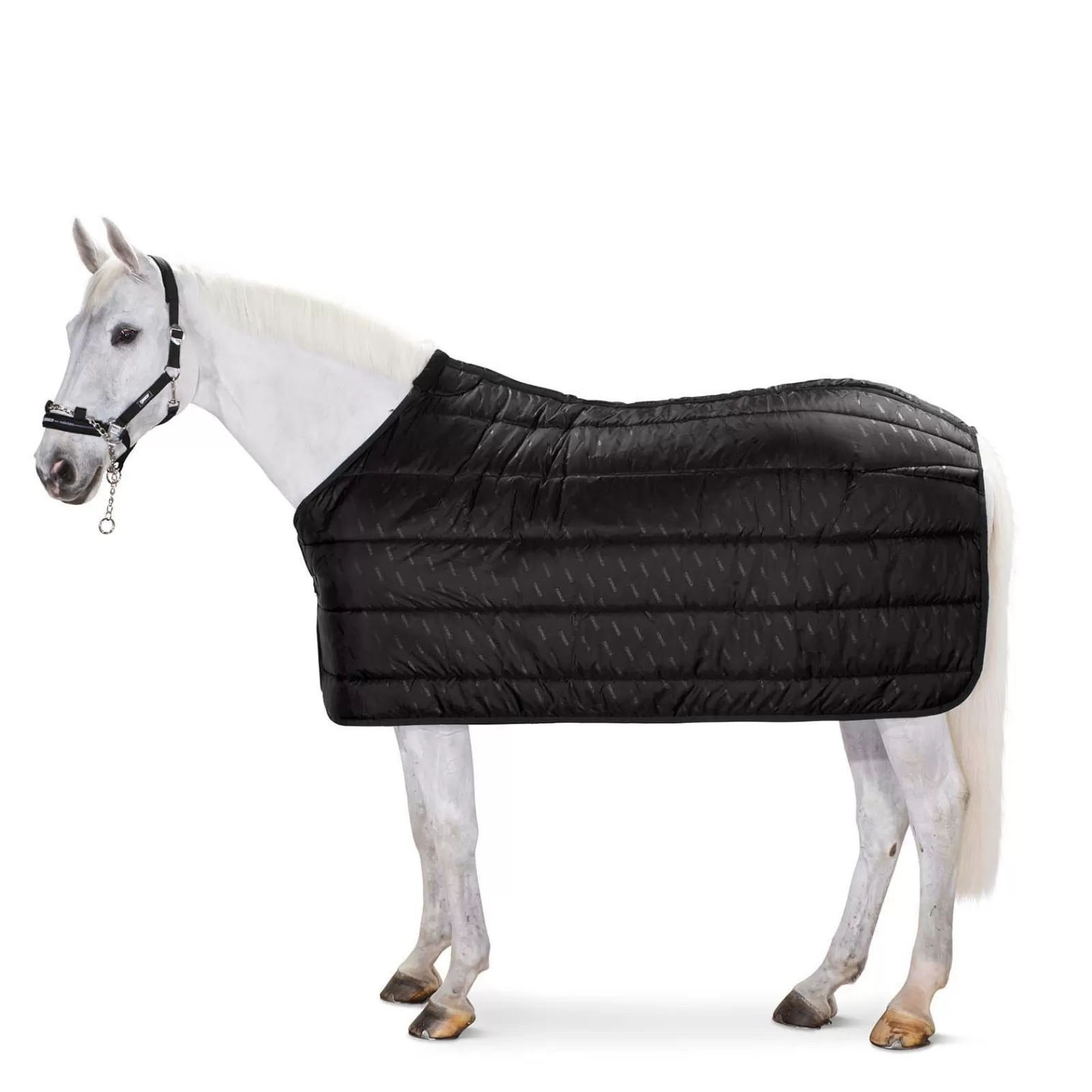 Best Sous-Couverture Thermo Poly 220 G Couvertures D'Exterieur Cheval