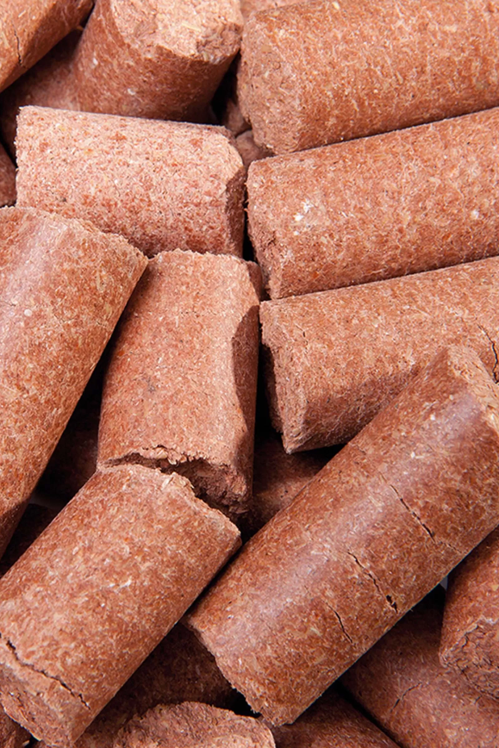 Sale Carrot Delicious ies, Friandises, 5 Kg Friandises Pour Chevaux