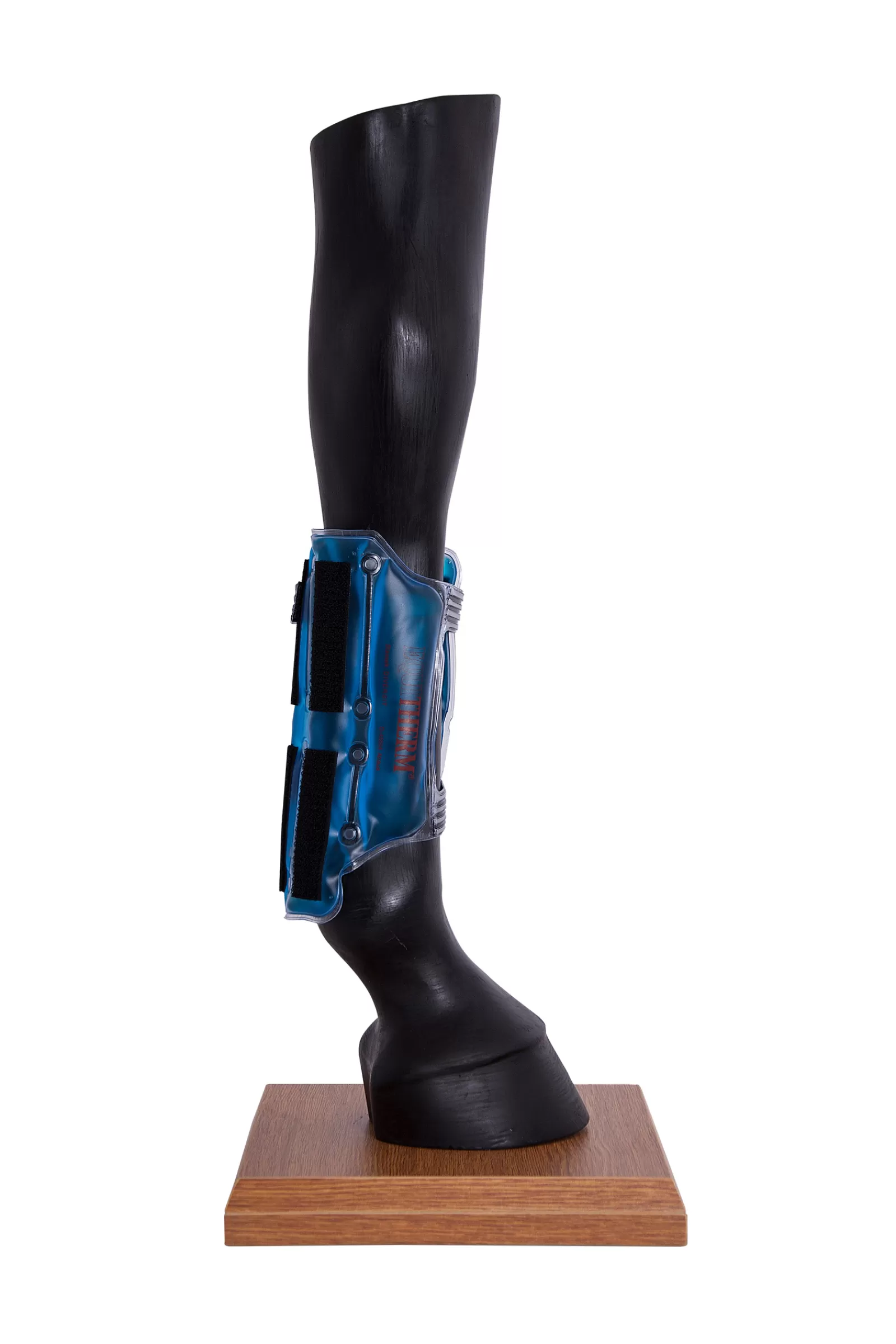 Sale Guetre Equitherm Isotherme Protections Cheval