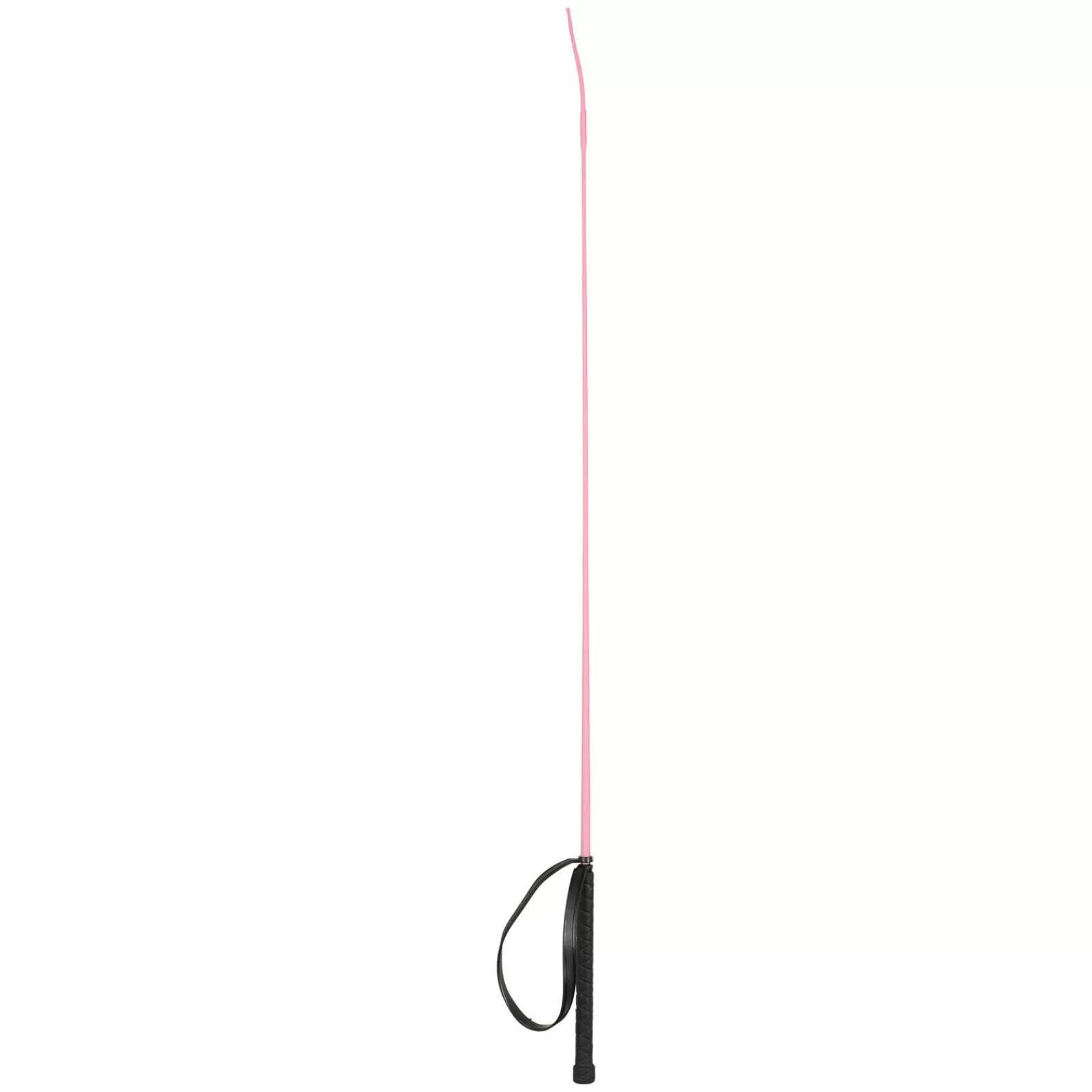 horze Stick De Dressage Austin< Sticks De Dressage