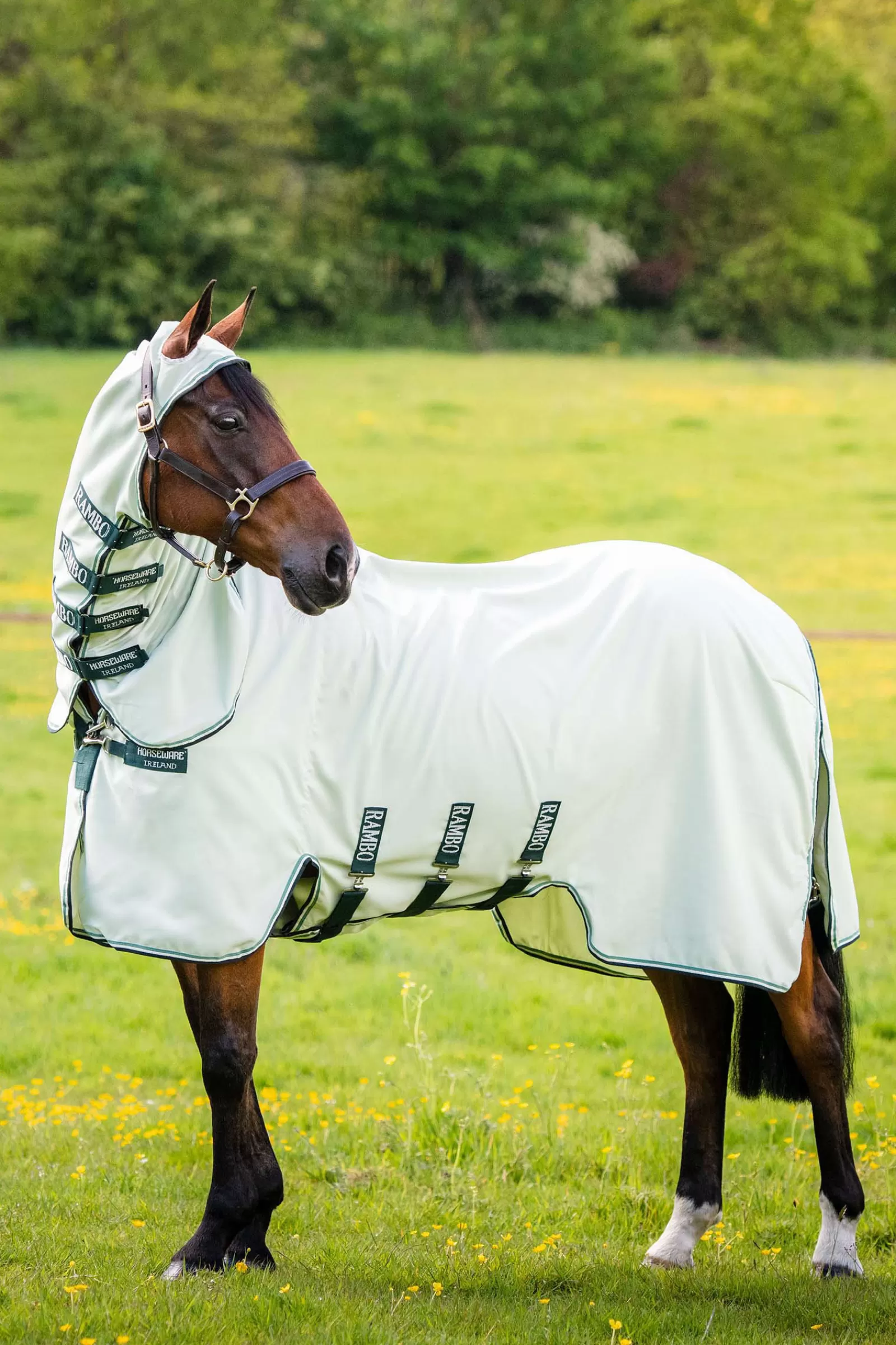 Store Sweat A Capuche Rambo Masques Anti-Mouches & Chasse-Mouches