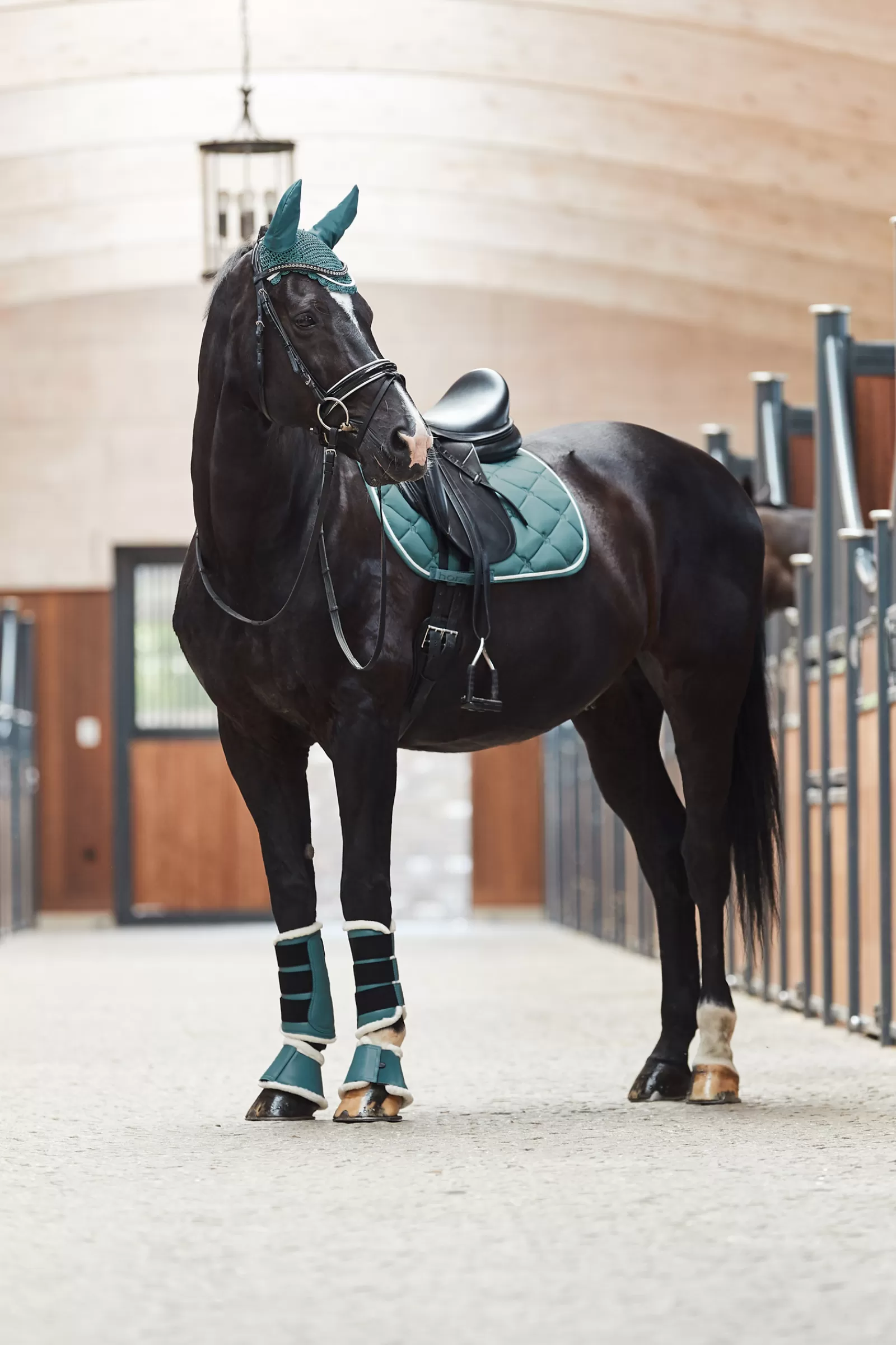 Shop Tapis De Selle De Dressage Ghent Avec Fausse Fourrure Tapis Dressage