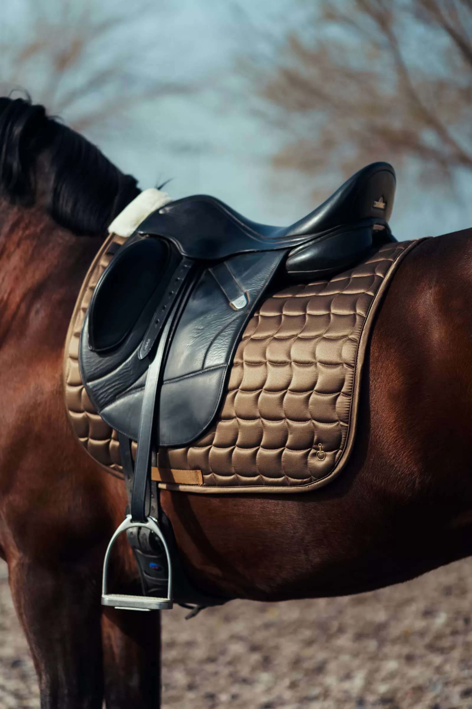 Store Tapis De Selle De Dressage Houston Tapis Dressage