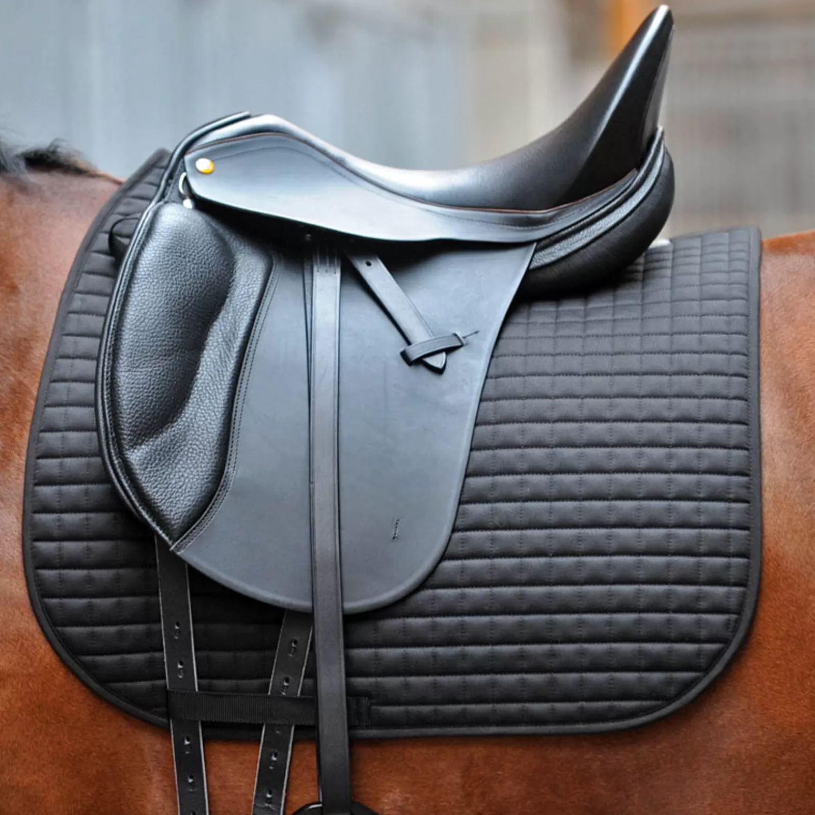 Store Tapis De Selle De Dressage Kavaleasy Tapis Dressage