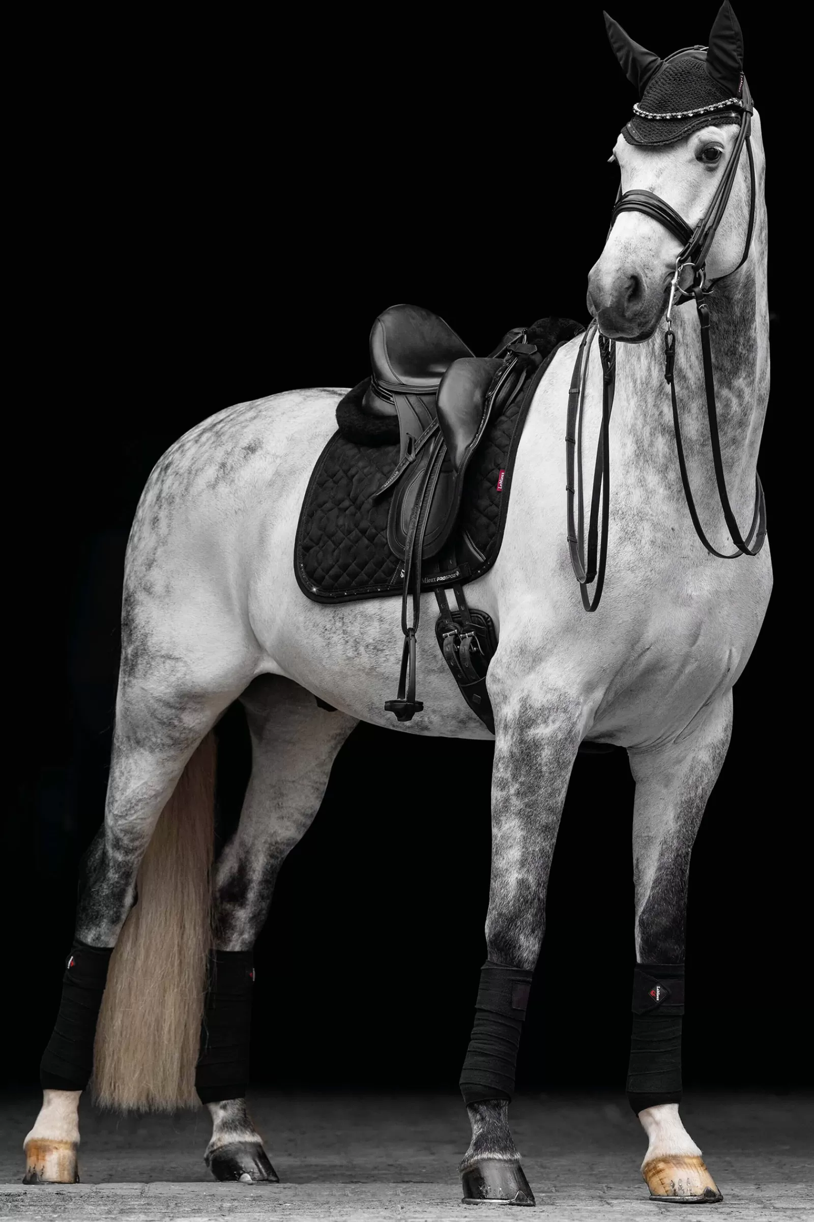 Fashion Tapis De Selle De Dressage Daim Cristaux Tapis Dressage