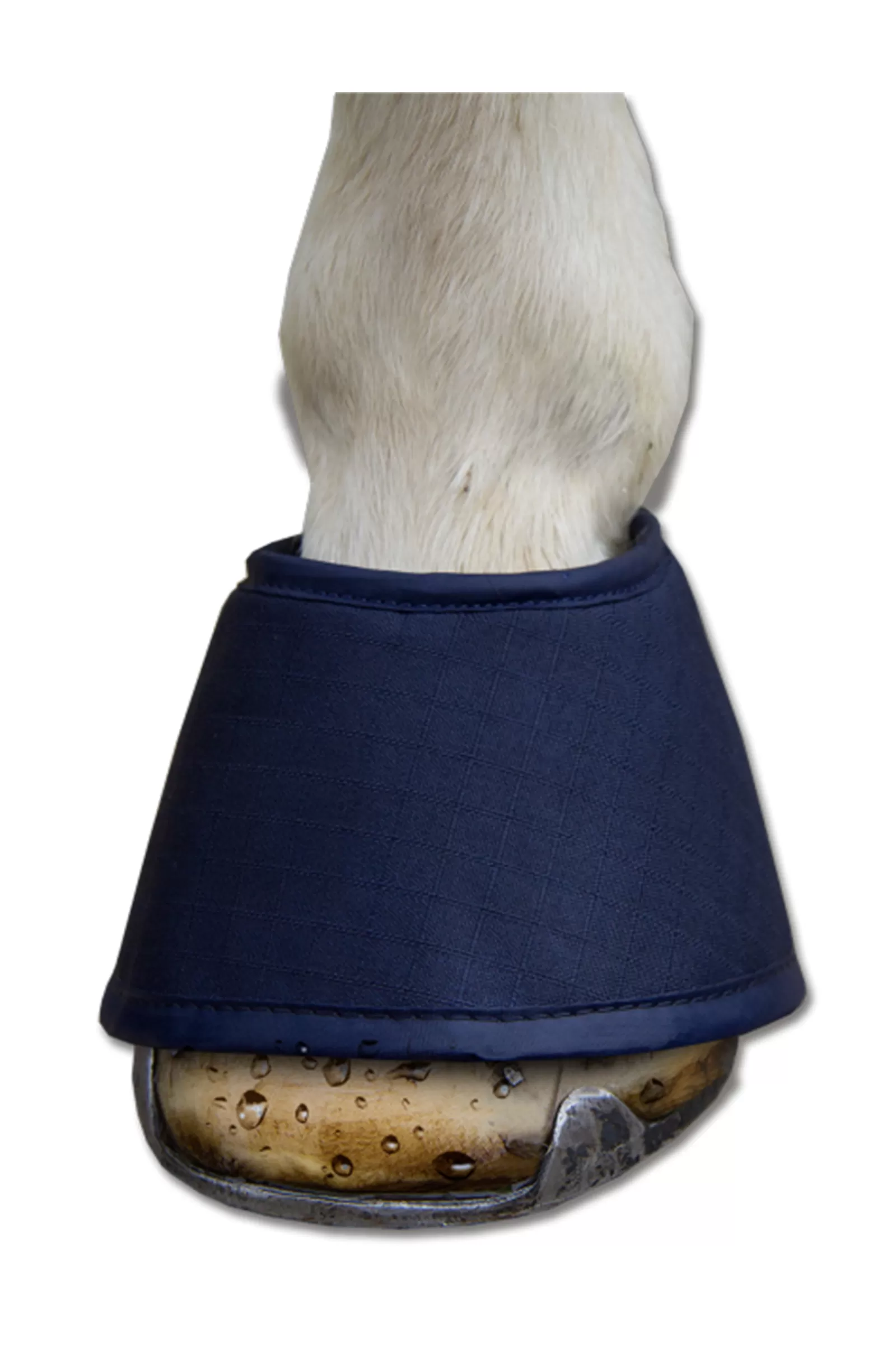 Cheap Water Boot, Lot De 2 Cloches Cheval