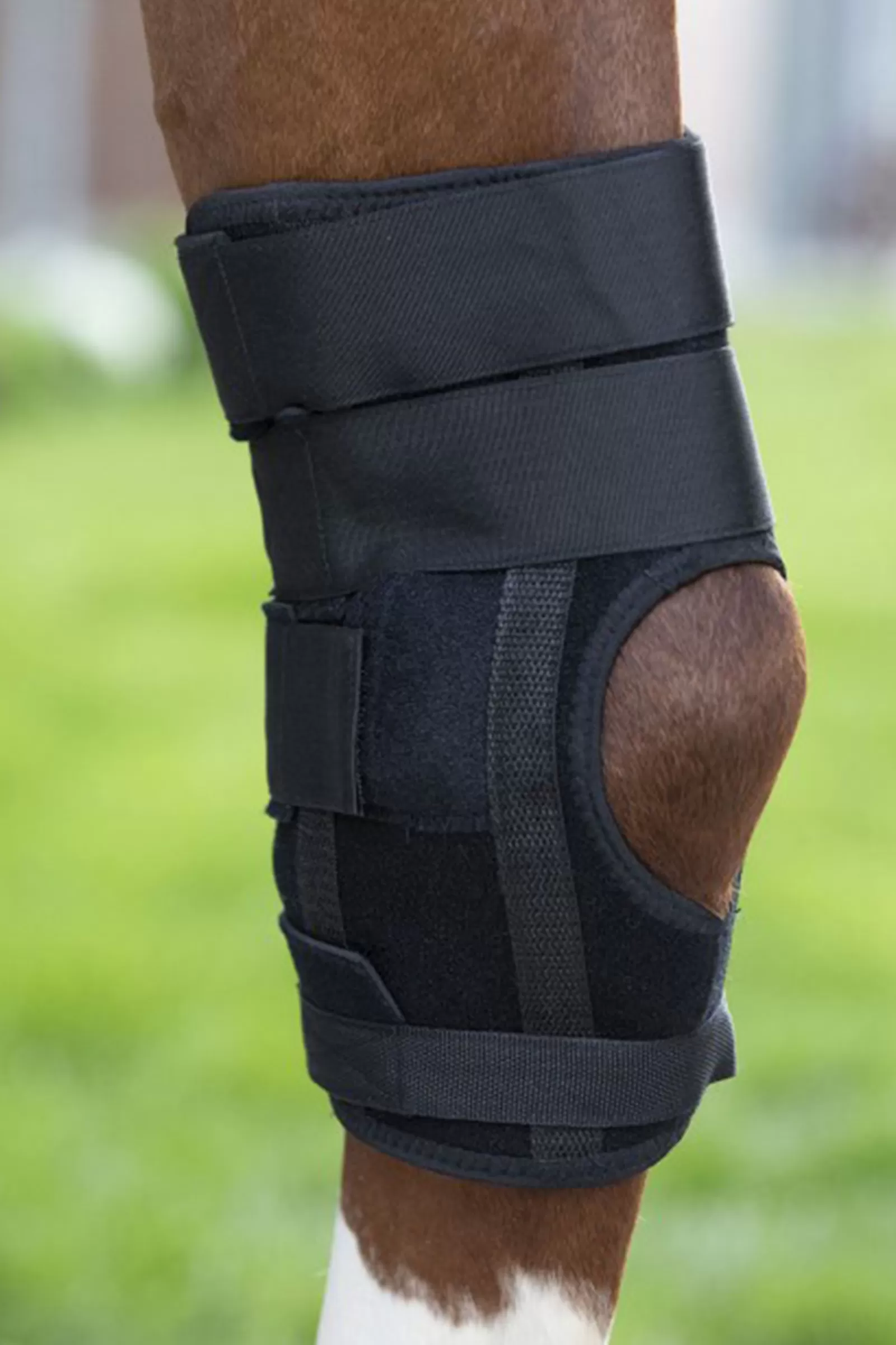 Clearance Whealth & Care Guetres Pour Protections Cheval