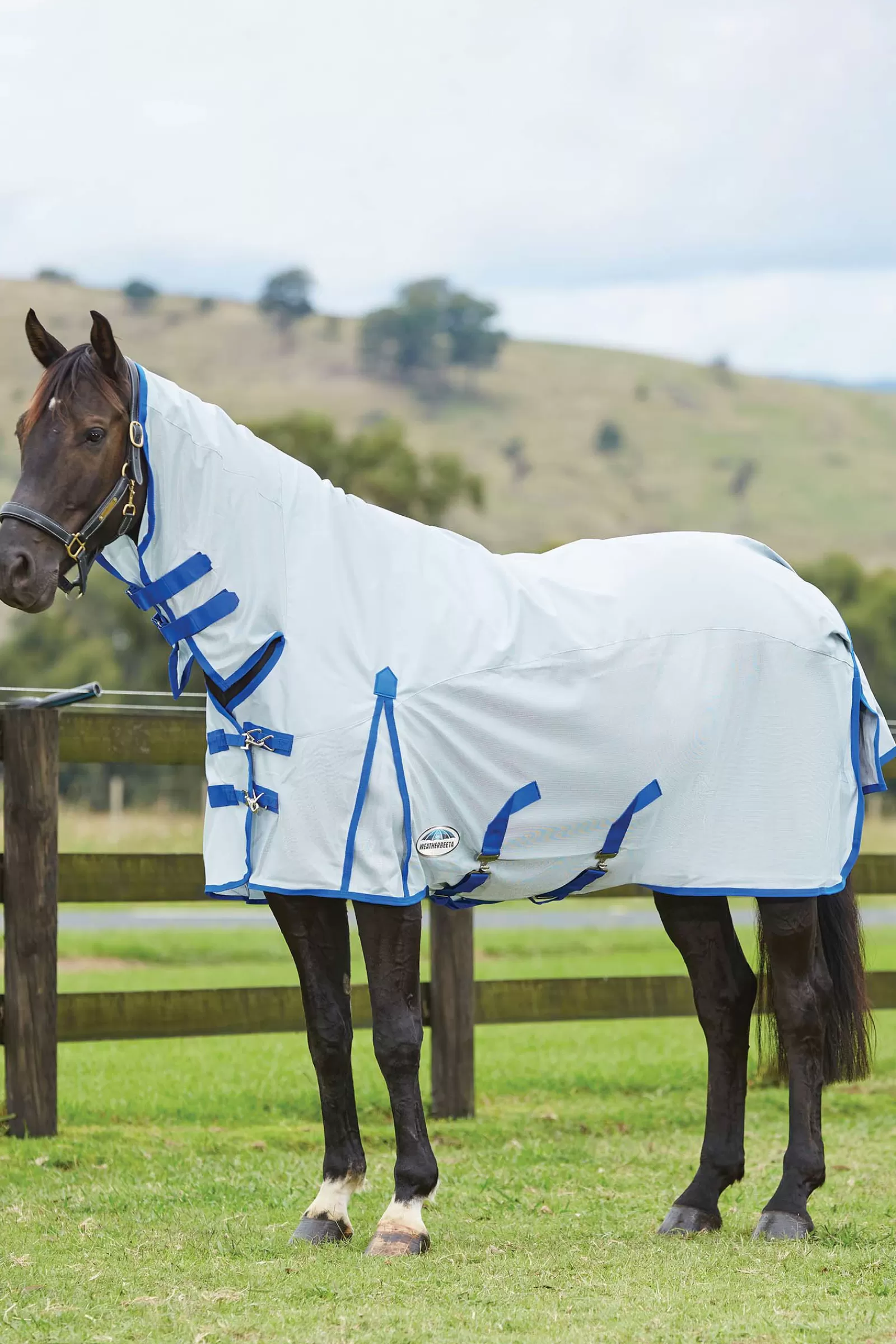 Best Sale Comfitec 600D/Mesh Ii Fly Rug With Fixed Neck Couvertures Anti-Mouches