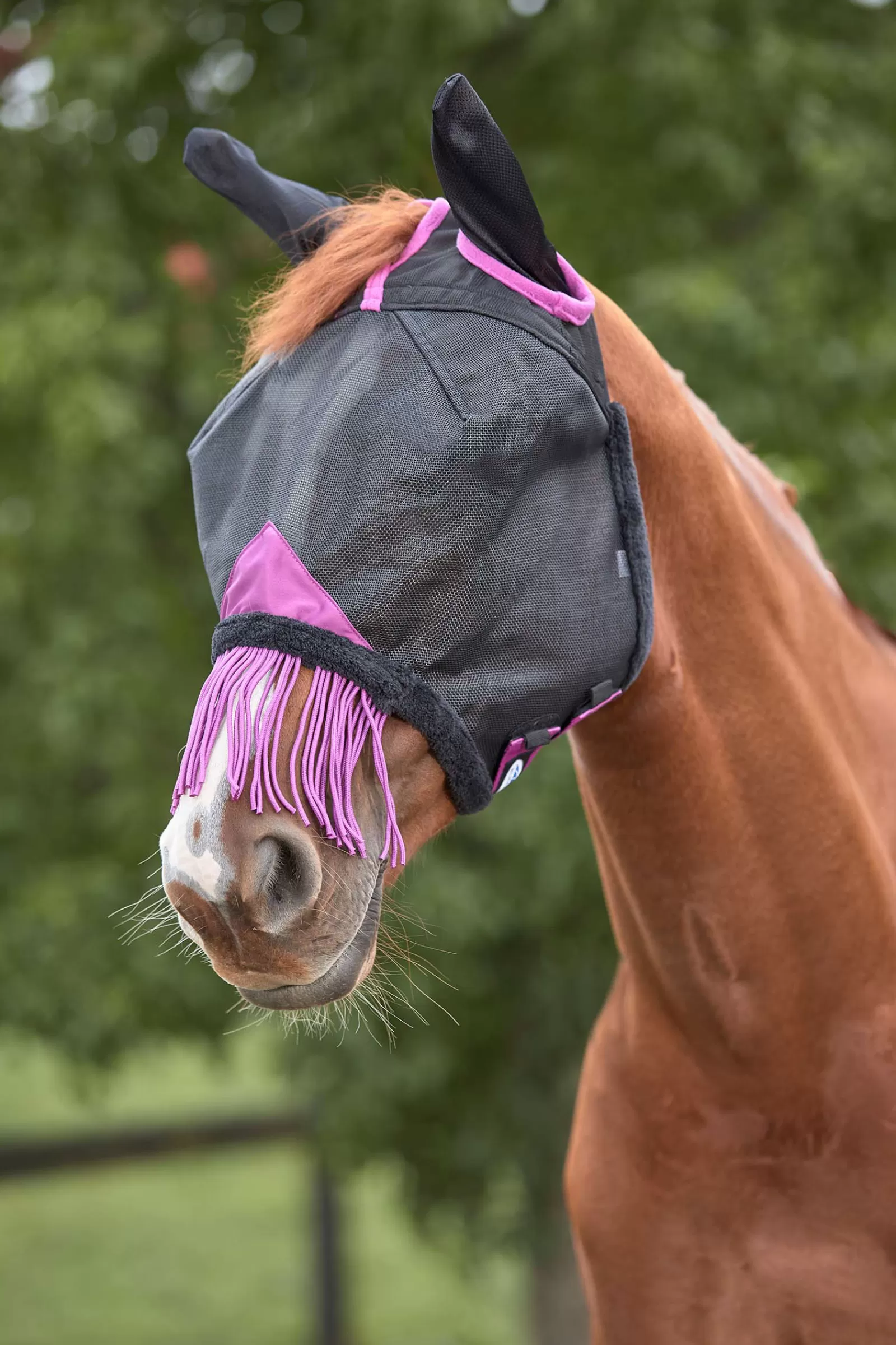 Best Comfitec Deluxe Durable Mesh Mask With Ears And Tassels Masques Anti-Mouches & Chasse-Mouches